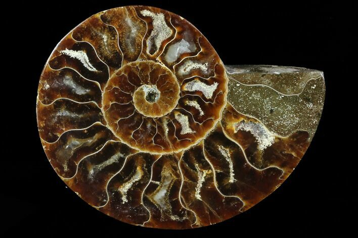 Agatized Ammonite Fossil (Half) - Madagascar #83856